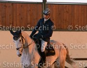 Berlin dei Folletti TosTour2013- S5 3197 : Arezzo, Arezzo Equestrian Centre, Berlin dei Folletti, Cavalli d'Italia, Toscana Tour 2013, foto di Stefano Secchi ©